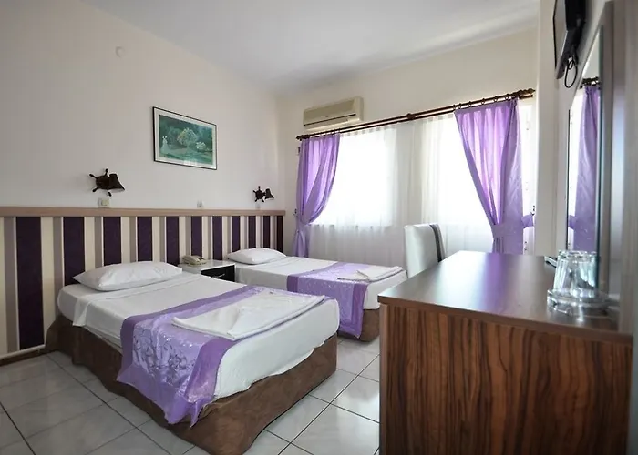 فندق ريس ماريس